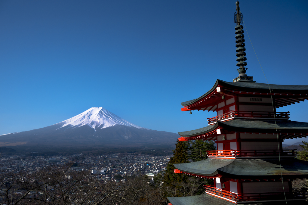 桜咲く前に