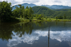 夏雲