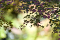 心が落ち着きます