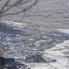 雪融け　１