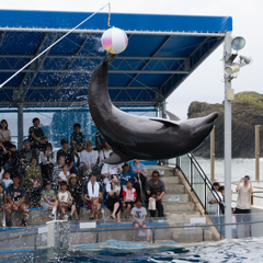ジャーンプ