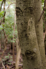 顔