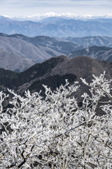 山並みはるか