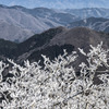 山並みはるか