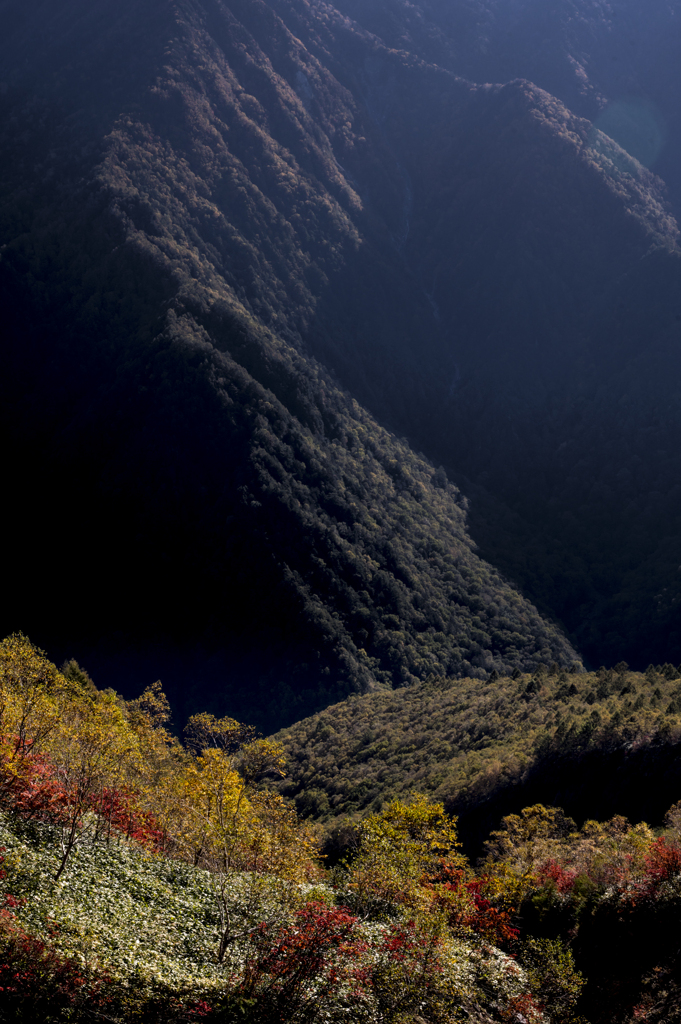 山の紅葉