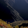 山の紅葉