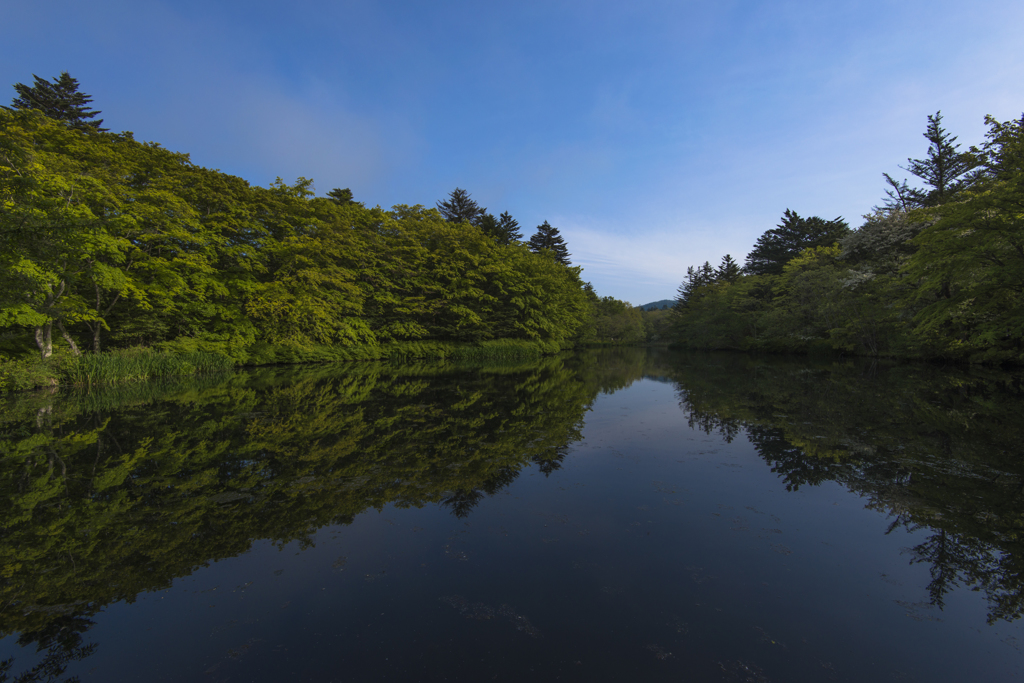 雲場池の朝