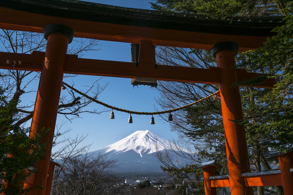 気分はお正月