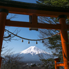 気分はお正月
