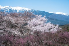 いい季節になりました