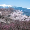 いい季節になりました