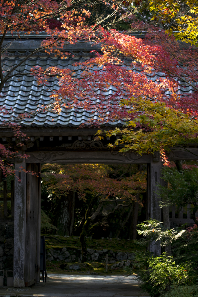 門と紅葉
