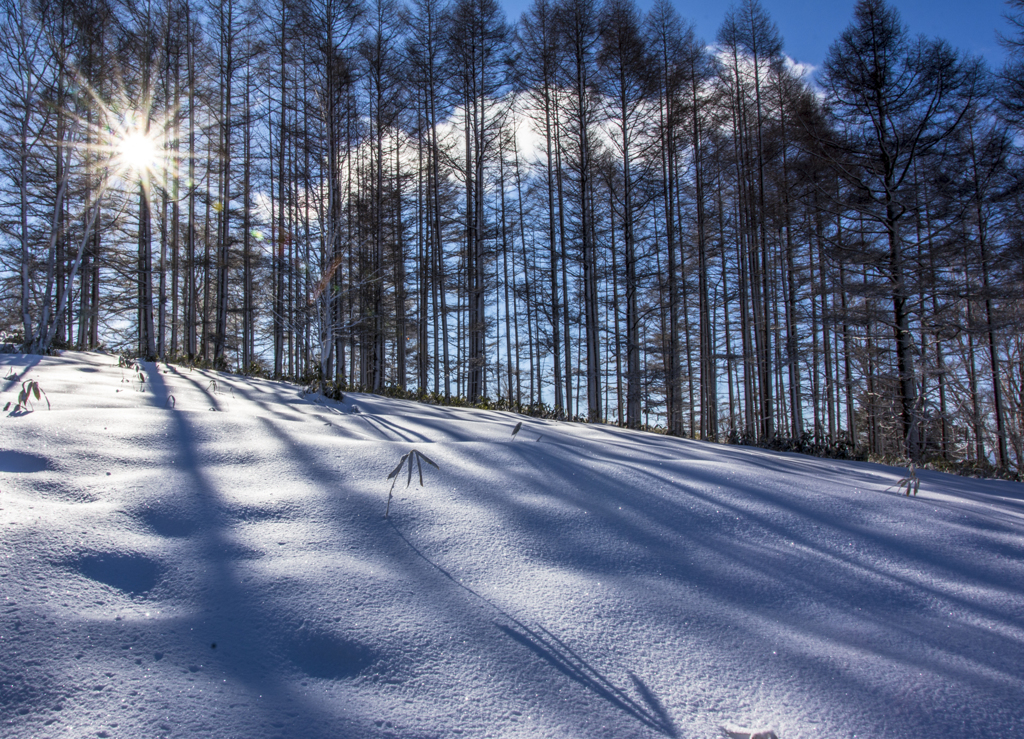 雪山へのいざない