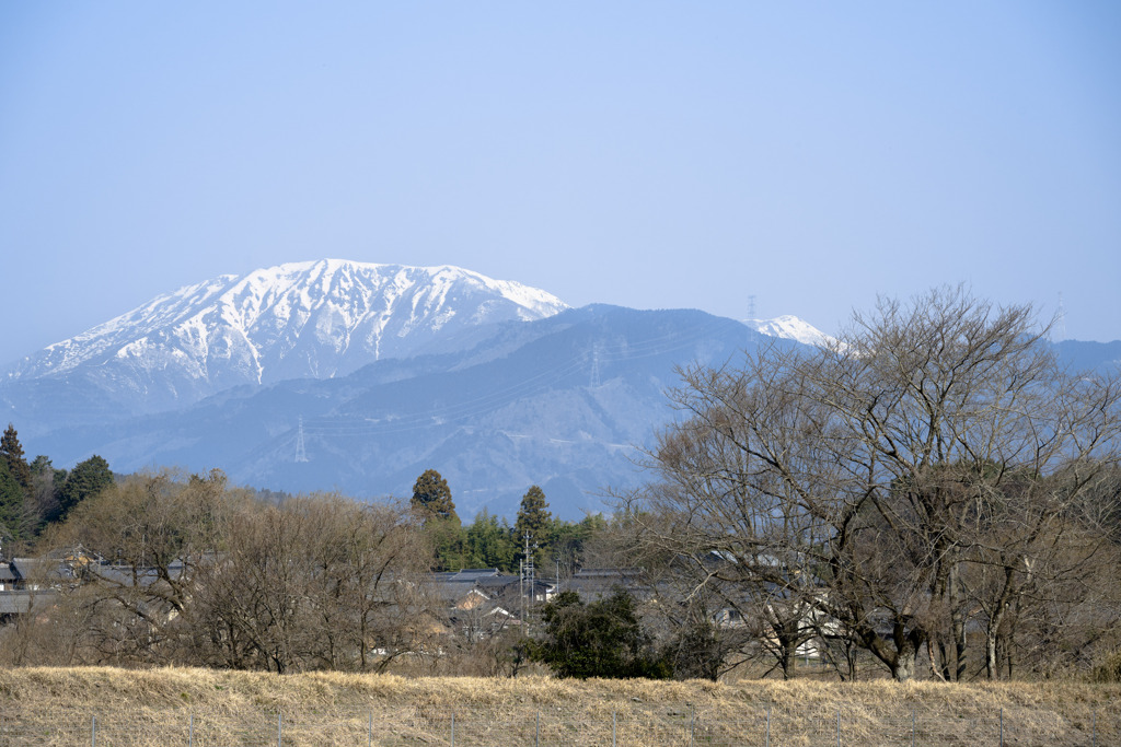 春の伊吹山