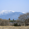 春の伊吹山