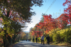 秋の通学路