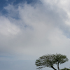 真夏の空の下で