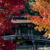 紅葉の中の無際橋