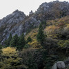 壁と紅葉