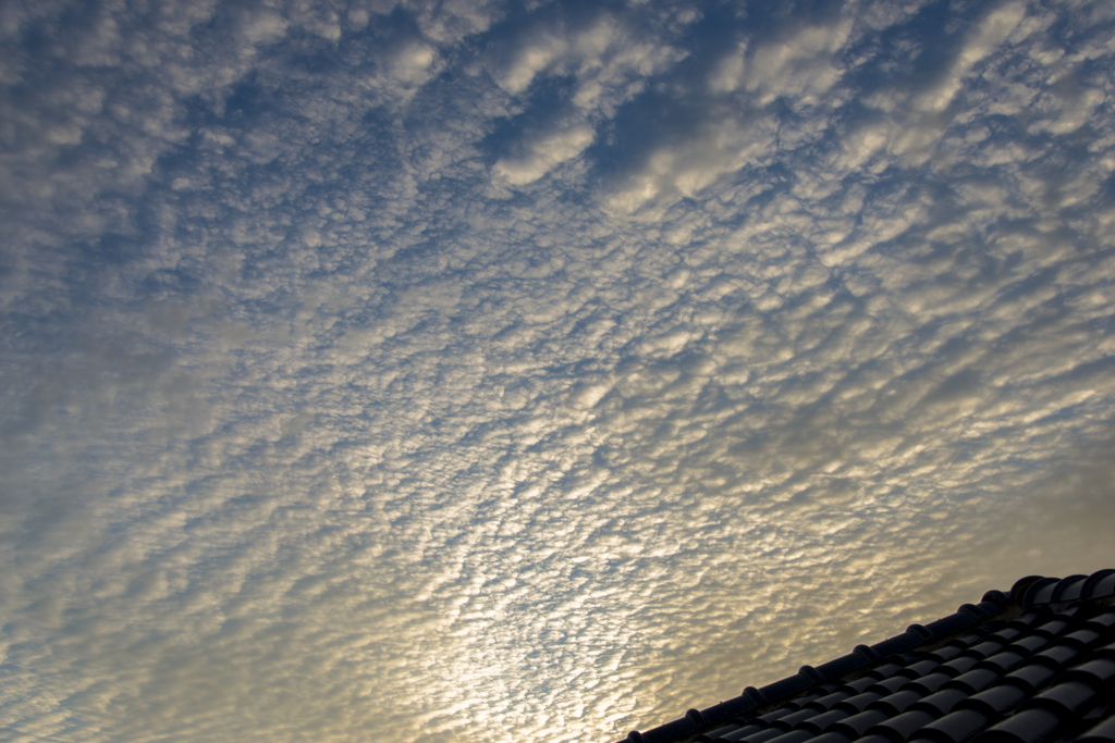 今朝の空