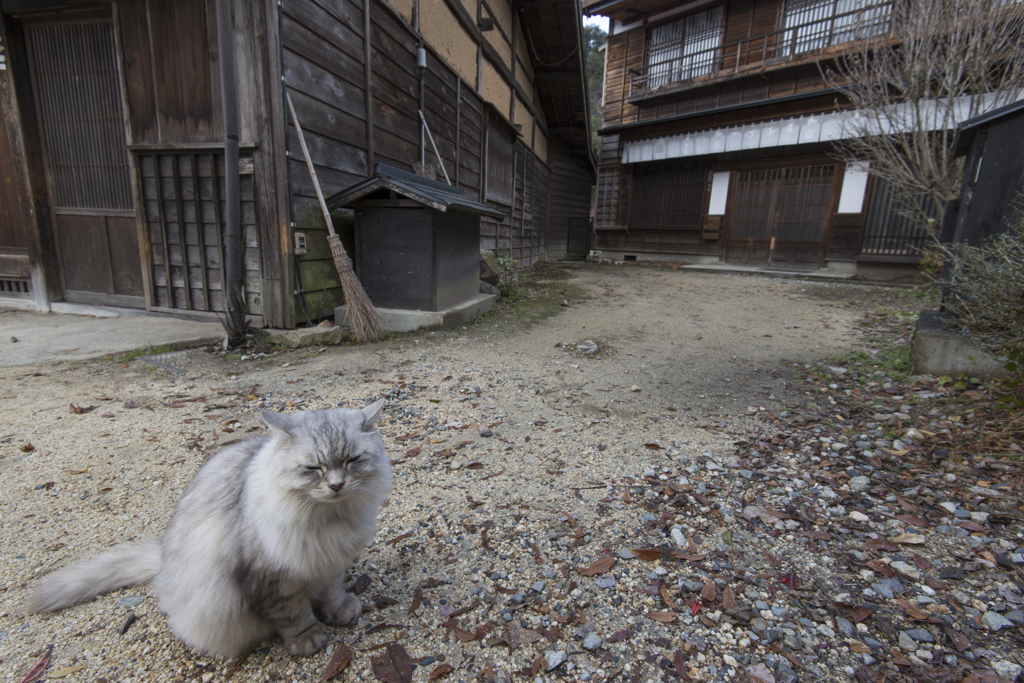 宿場のペルシャ　Ⅰ