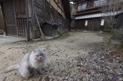 宿場のペルシャ　Ⅰ