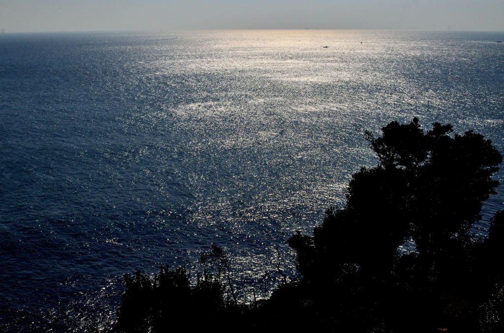 海光