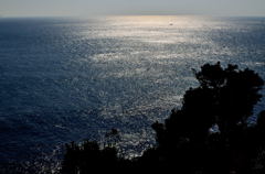 海光