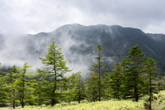 雲湧き上がる