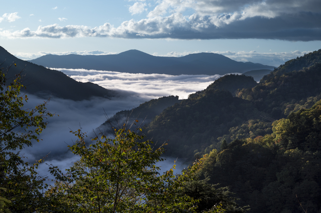 雲海の朝
