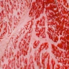 Lean meat