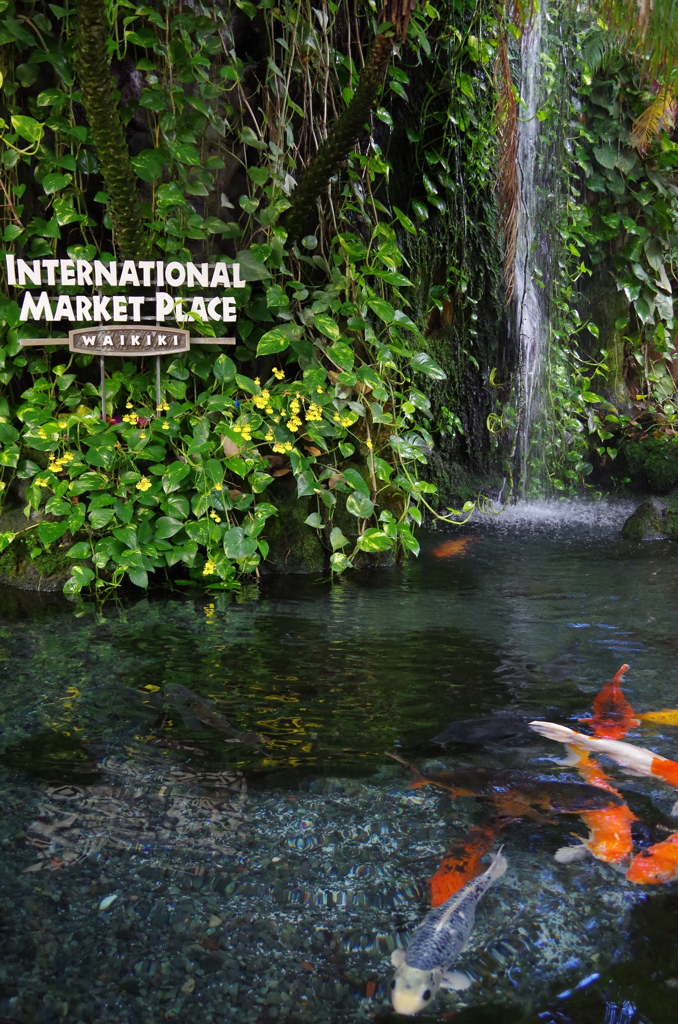 INTERNATIONAL MARKET PLACE