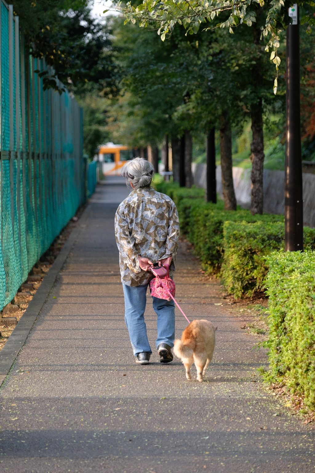 犬と散歩