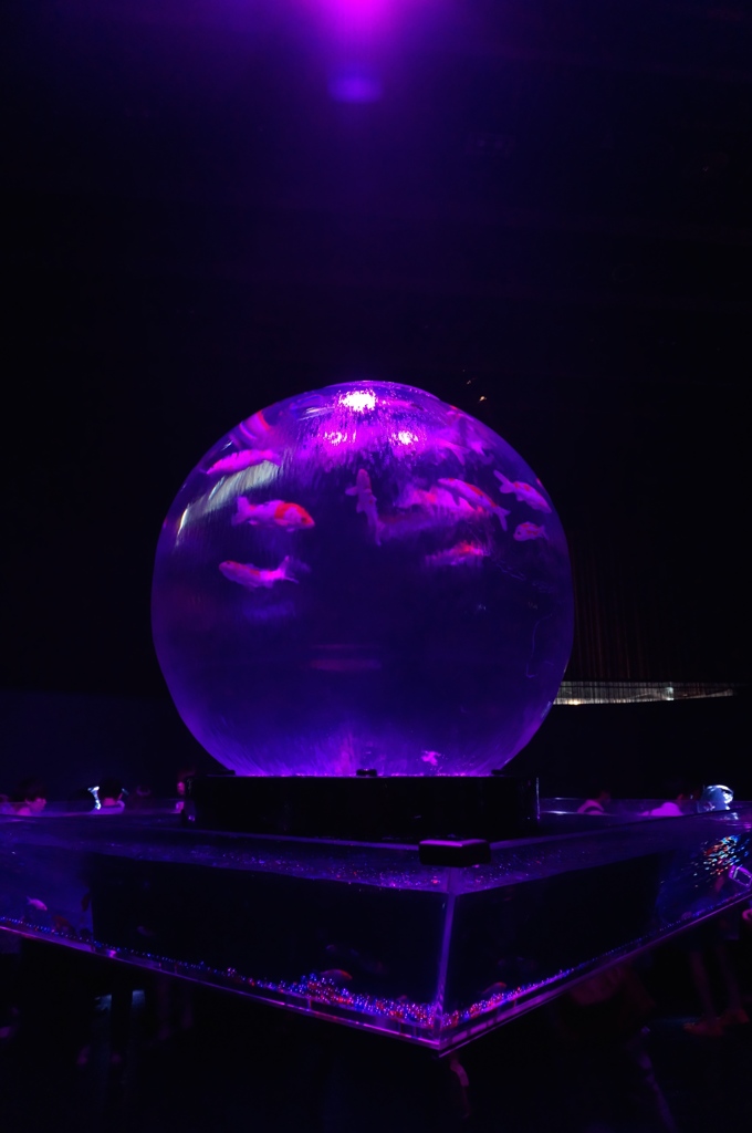 ボール金魚鉢