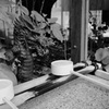 日枝神社9