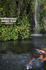 International Market Place