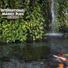 International Market Place