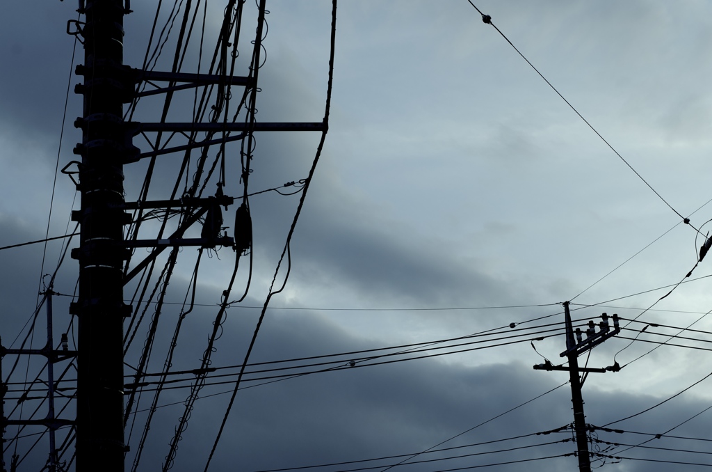 Telegraph poles with cloudy sky