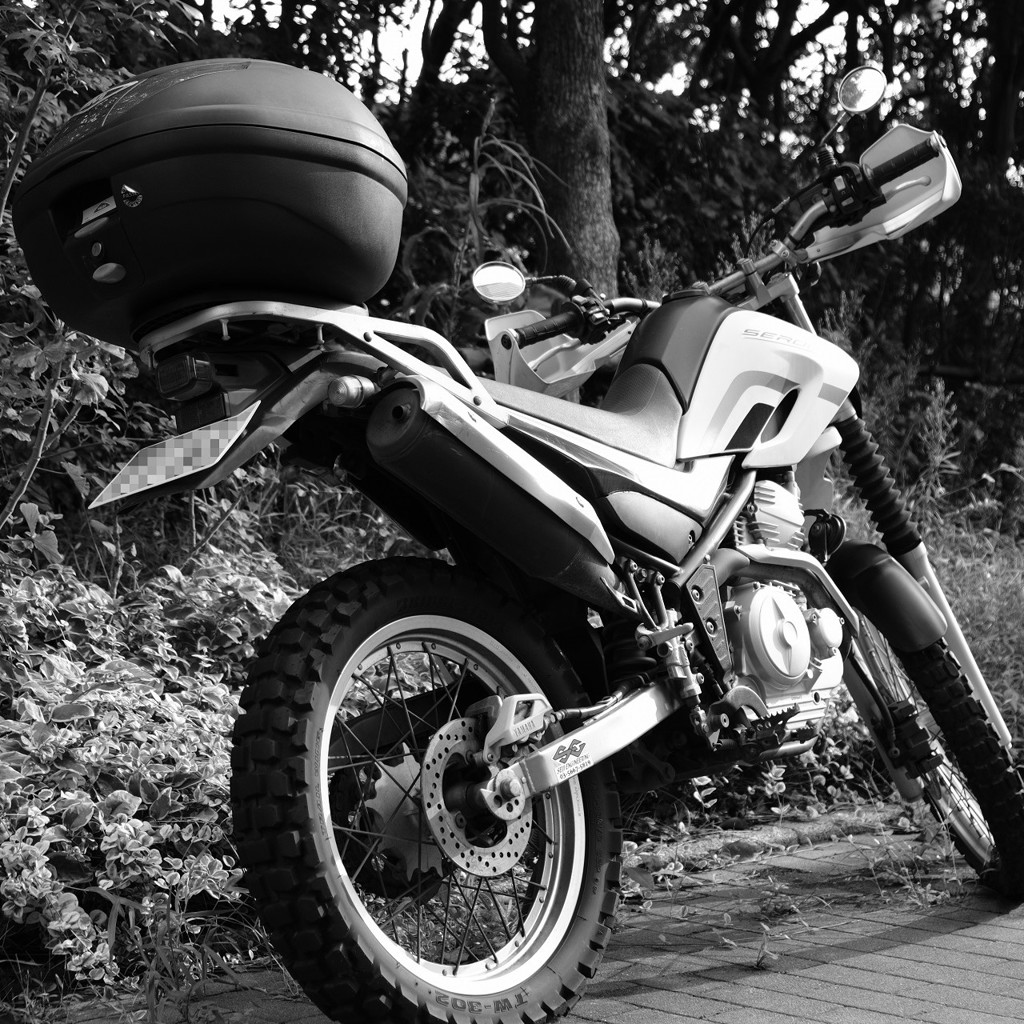 a motor bicycle 2