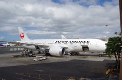 Boeing 787-8 JAL