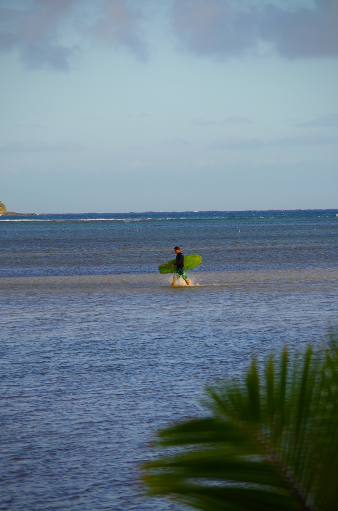 walking on the sea