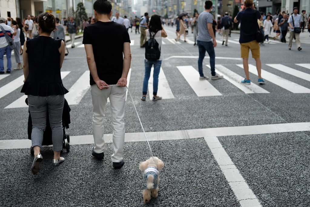 犬も歩行天国