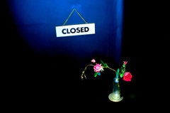 CLOSED ROSES