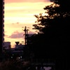 帰ろう