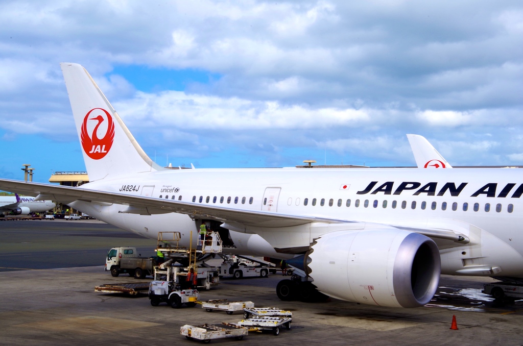 JAPAN AIRLINE Boeing 787