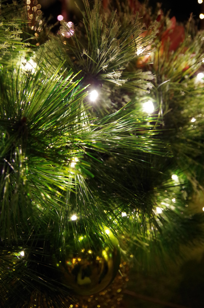 Christmas day