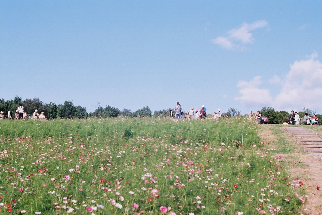 花の丘　in　万博公園