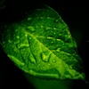 〜 雨音の中で 〜