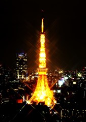 東京タワーの輝き