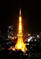 東京タワーの輝き